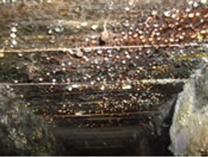 SubFloor-Ventilation
